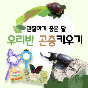 곤충 키우기