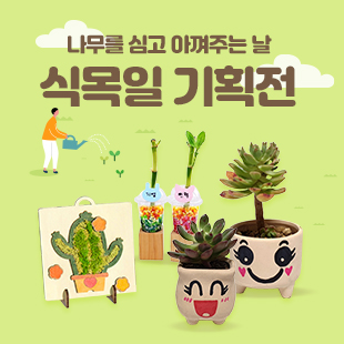 식물 키우기